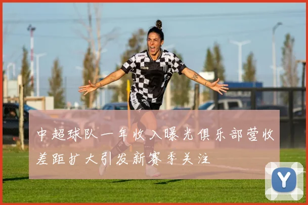 中超球队一年收入曝光俱乐部营收差距扩大引发新赛季关注