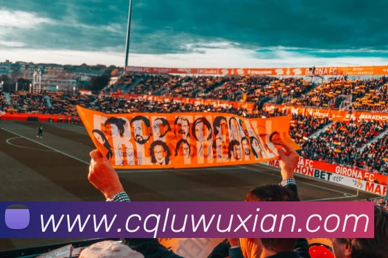 星空体育综合入口平台生态图